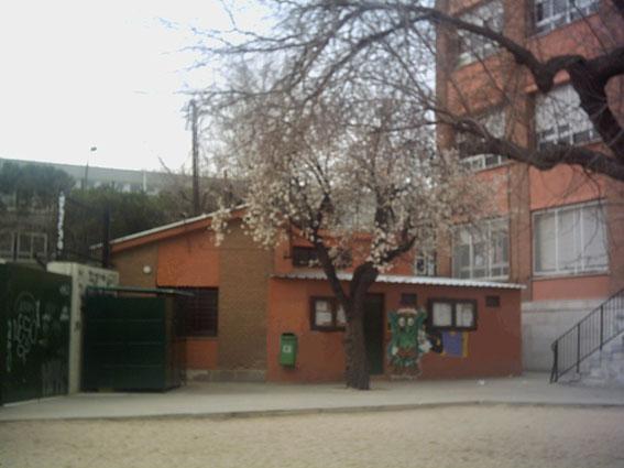 Niños jugando en el patio del colegio